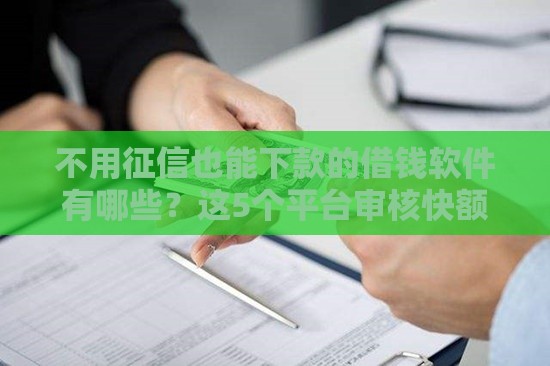 不用征信也能下款的借钱软件有哪些？这5个平台审核快额度高