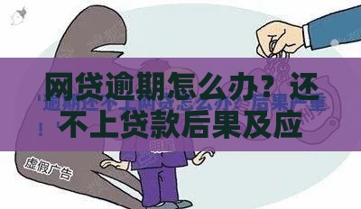 网贷逾期怎么办？还不上贷款后果及应对指南