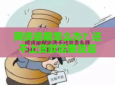 网贷逾期怎么办？还不上贷款后果及应对指南