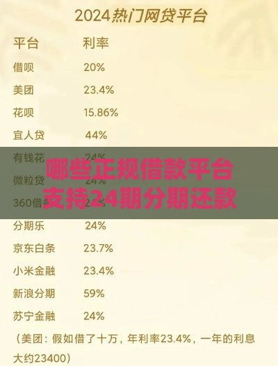哪些正规借款平台支持24期分期还款？这5家靠谱选择