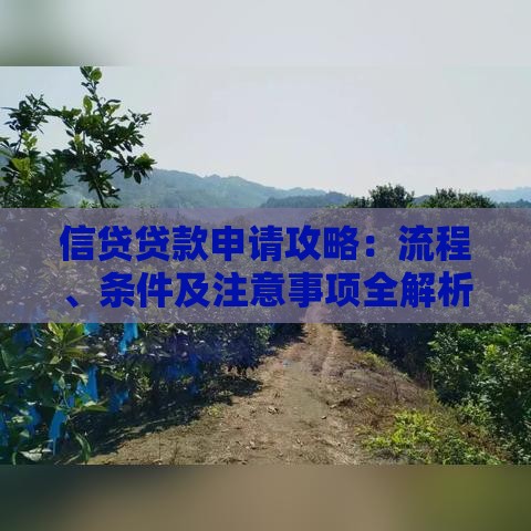 信贷贷款申请攻略：流程、条件及注意事项全解析