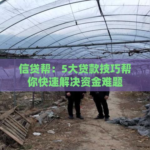 信贷帮：5大贷款技巧帮你快速解决资金难题