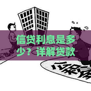 信贷利息是多少？详解贷款利息计算方法及影响因素