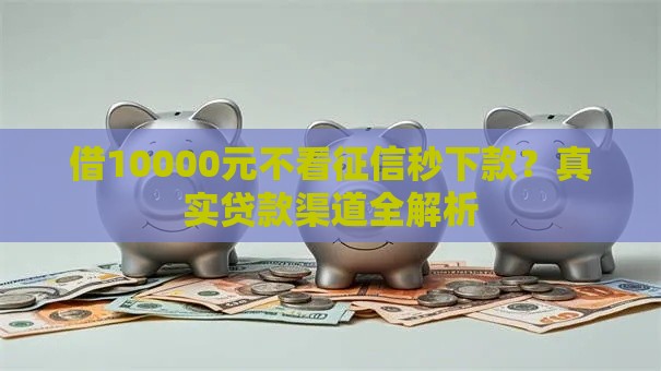 借10000元不看征信秒下款？真实贷款渠道全解析