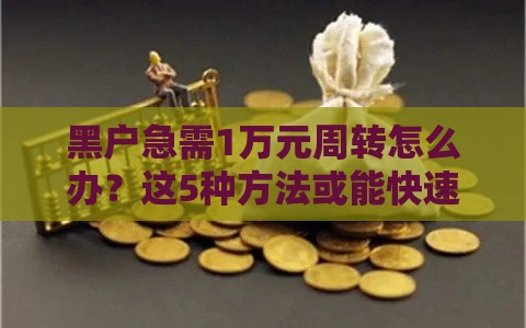 黑户急需1万元周转怎么办？这5种方法或能快速解决资金难题