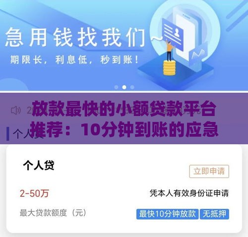 放款最快的小额贷款平台推荐：10分钟到账的应急选择