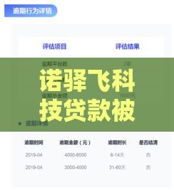诺驿飞科技贷款被冻结？5个步骤快速解决
