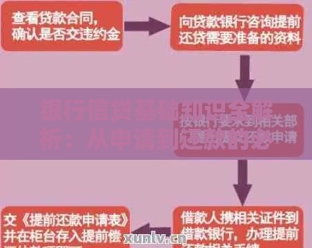 银行信贷基础知识全解析：从申请到还款的必备指南