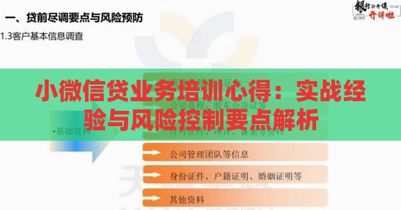 小微信贷业务培训心得：实战经验与风险控制要点解析