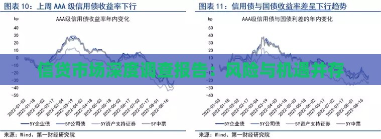 信贷市场深度调查报告：风险与机遇并存