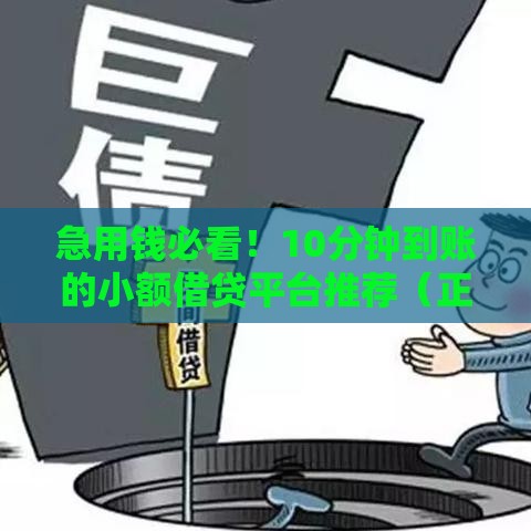 急用钱必看！10分钟到账的小额借贷平台推荐（正规安全）