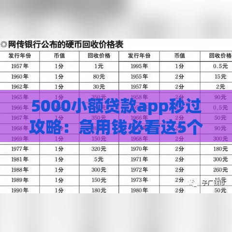 5000小额贷款app秒过攻略：急用钱必看这5个技巧