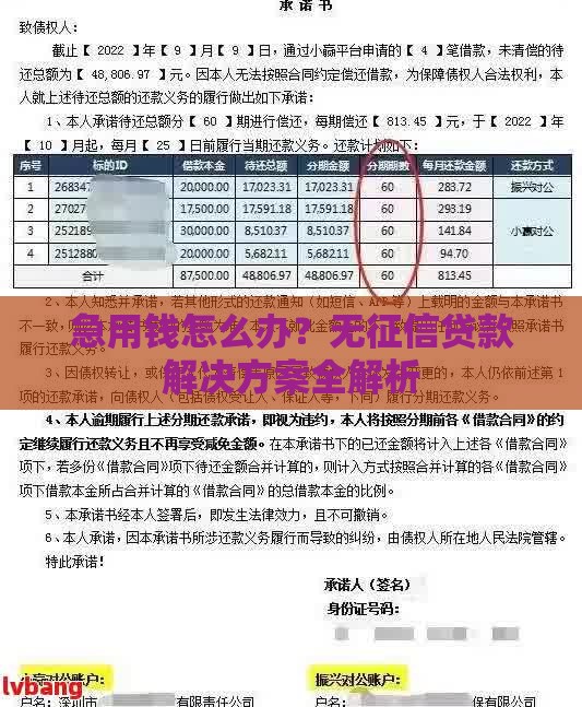 急用钱怎么办？无征信贷款解决方案全解析