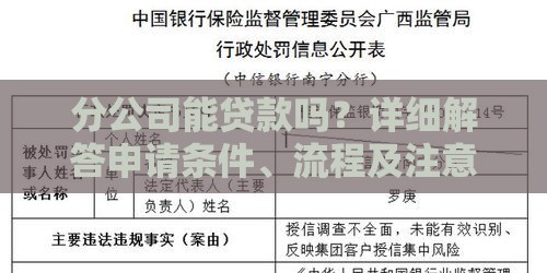 分公司能贷款吗？详细解答申请条件、流程及注意事项