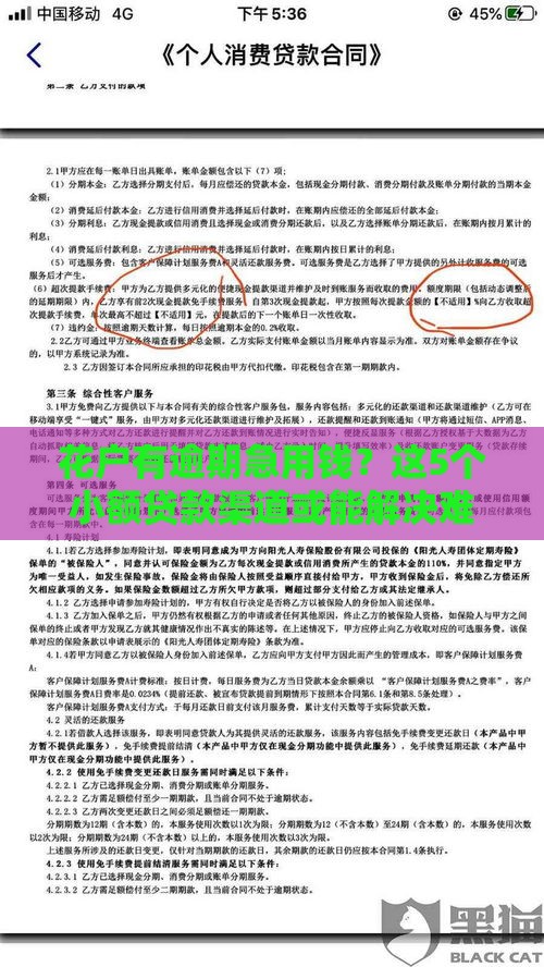 花户有逾期急用钱？这5个小额贷款渠道或能解决难题