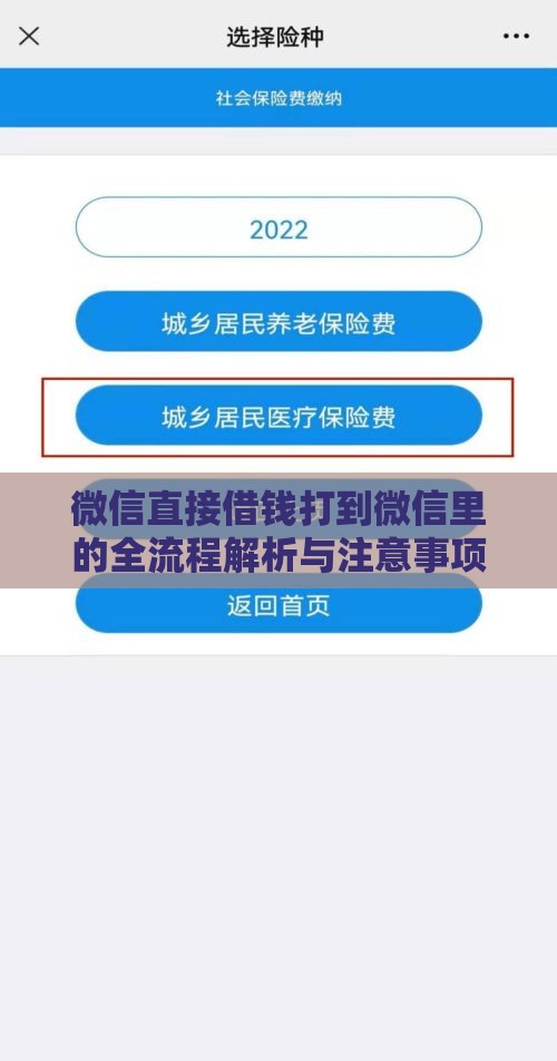 微信直接借钱打到微信里的全流程解析与注意事项