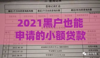 2021黑户也能申请的小额贷款渠道盘点