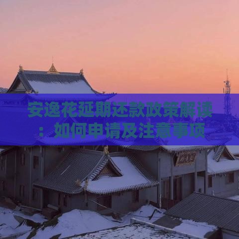 安逸花延期还款政策解读：如何申请及注意事项