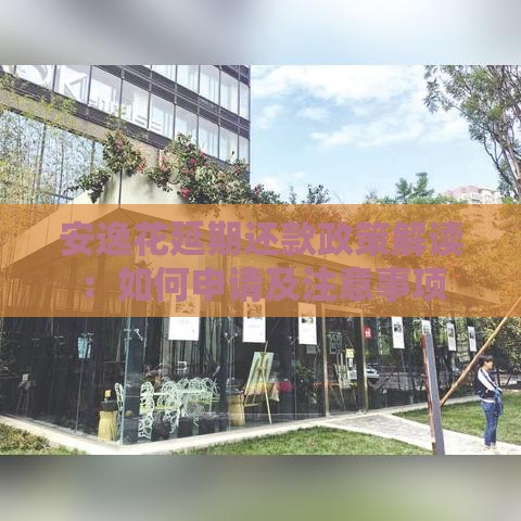 安逸花延期还款政策解读：如何申请及注意事项