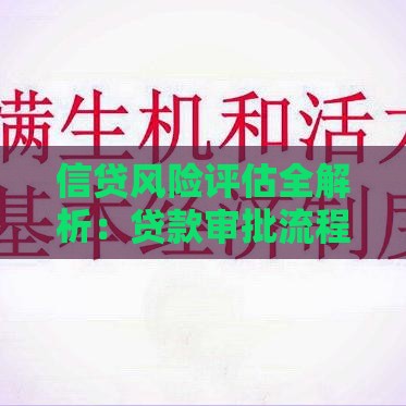 信贷风险评估全解析：贷款审批流程与风险防范要点