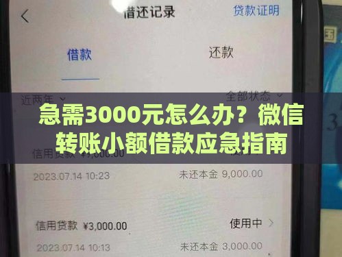 急需3000元怎么办？微信转账小额借款应急指南