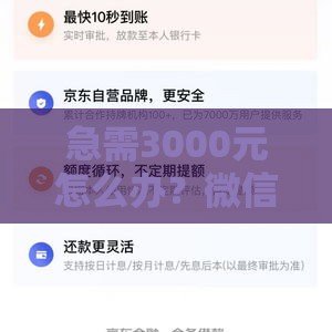 急需3000元怎么办？微信转账小额借款应急指南