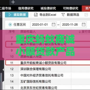 重庆蚂蚁商诚小额贷款产品解析：申请条件、流程及注意事项