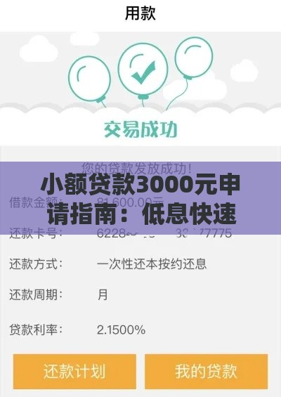 小额贷款3000元申请指南：低息快速到账方案