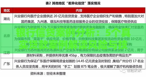 银行信贷案例分析：5个真实贷款案例解读风险与技巧