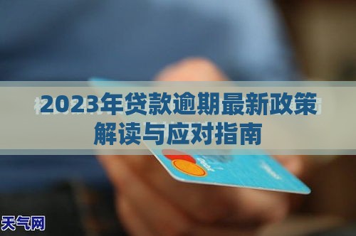 2023年贷款逾期最新政策解读与应对指南