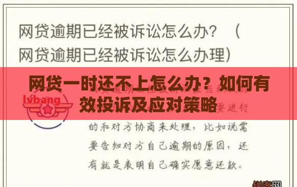 网贷一时还不上怎么办？如何有效投诉及应对策略