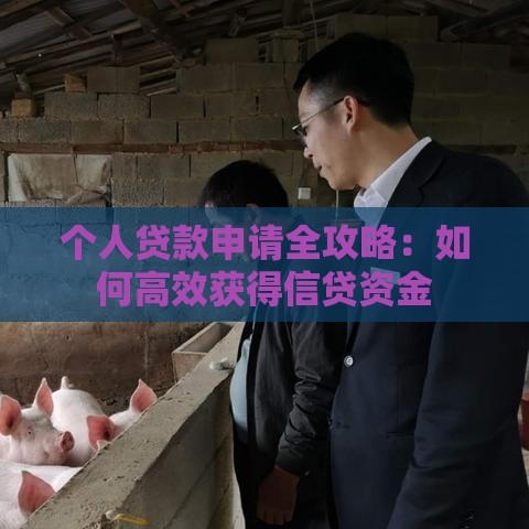 个人贷款申请全攻略：如何高效获得信贷资金