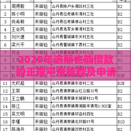 2020年逾期也能借款的正规平台推荐及申请攻略