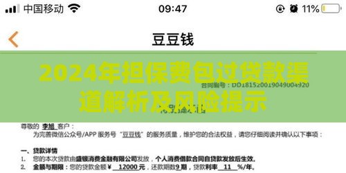 2024年担保费包过贷款渠道解析及风险提示