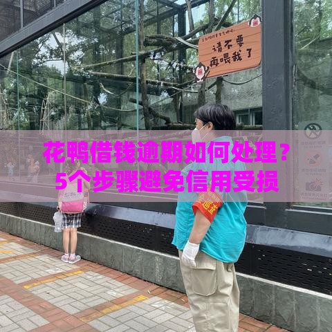 花鸭借钱逾期如何处理？5个步骤避免信用受损