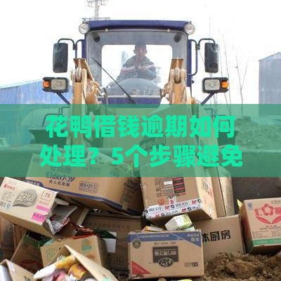 花鸭借钱逾期如何处理？5个步骤避免信用受损