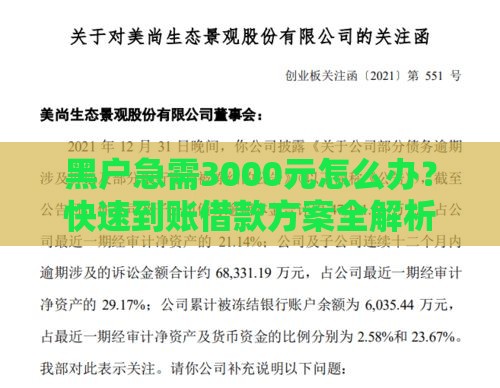 黑户急需3000元怎么办？快速到账借款方案全解析