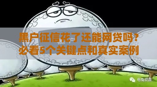 黑户征信花了还能网贷吗？必看5个关键点和真实案例解析