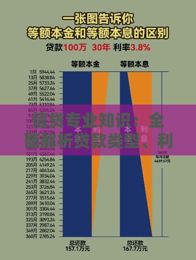 信贷专业知识：全面解析贷款类型、利率计算与避坑指南