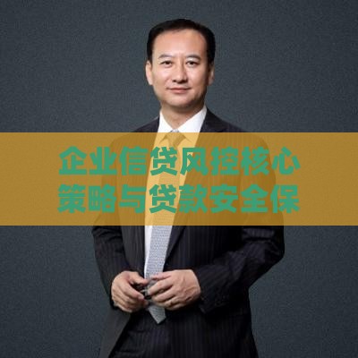 企业信贷风控核心策略与贷款安全保障指南