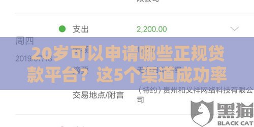 20岁可以申请哪些正规贷款平台？这5个渠道成功率更高