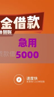 急用5000元怎么办？快速借款攻略与正规平台推荐