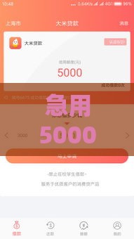 急用5000元怎么办？快速借款攻略与正规平台推荐