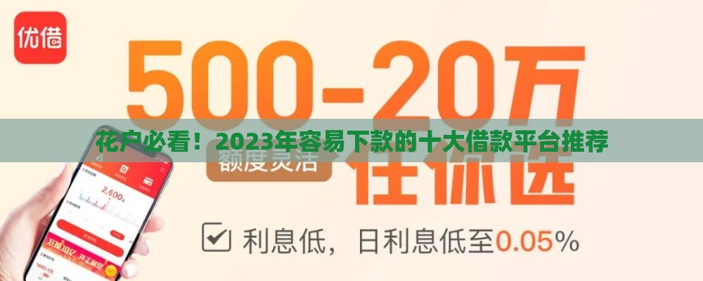 花户必看！2023年容易下款的十大借款平台推荐