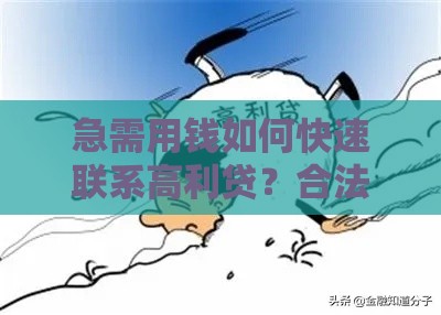 急需用钱如何快速联系高利贷？合法风险与渠道解析