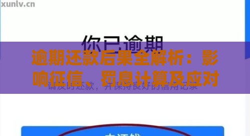 逾期还款后果全解析：影响征信、罚息计算及应对建议
