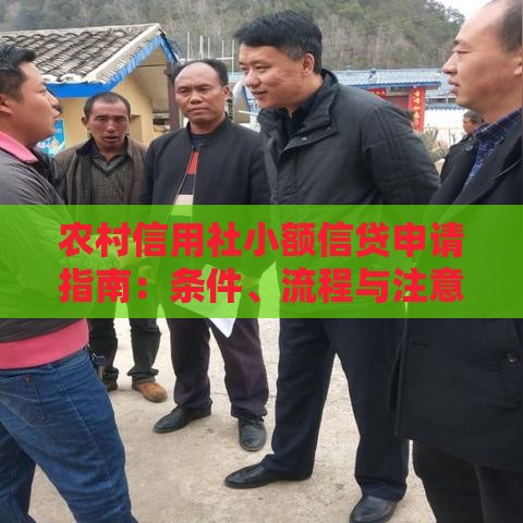 农村信用社小额信贷申请指南：条件、流程与注意事项全解析