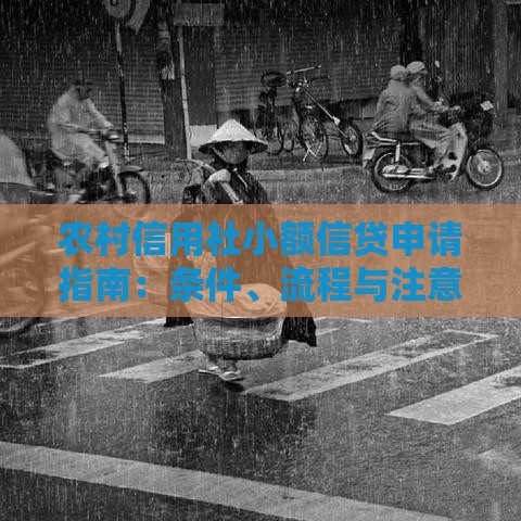 农村信用社小额信贷申请指南：条件、流程与注意事项全解析