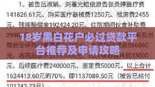 18岁黑白花户必过贷款平台推荐及申请攻略