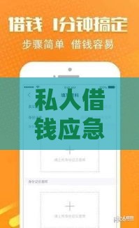 私人借钱应急指南：快速解决资金短缺的合法途径